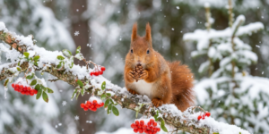 ft - guten morgen montag winter ft